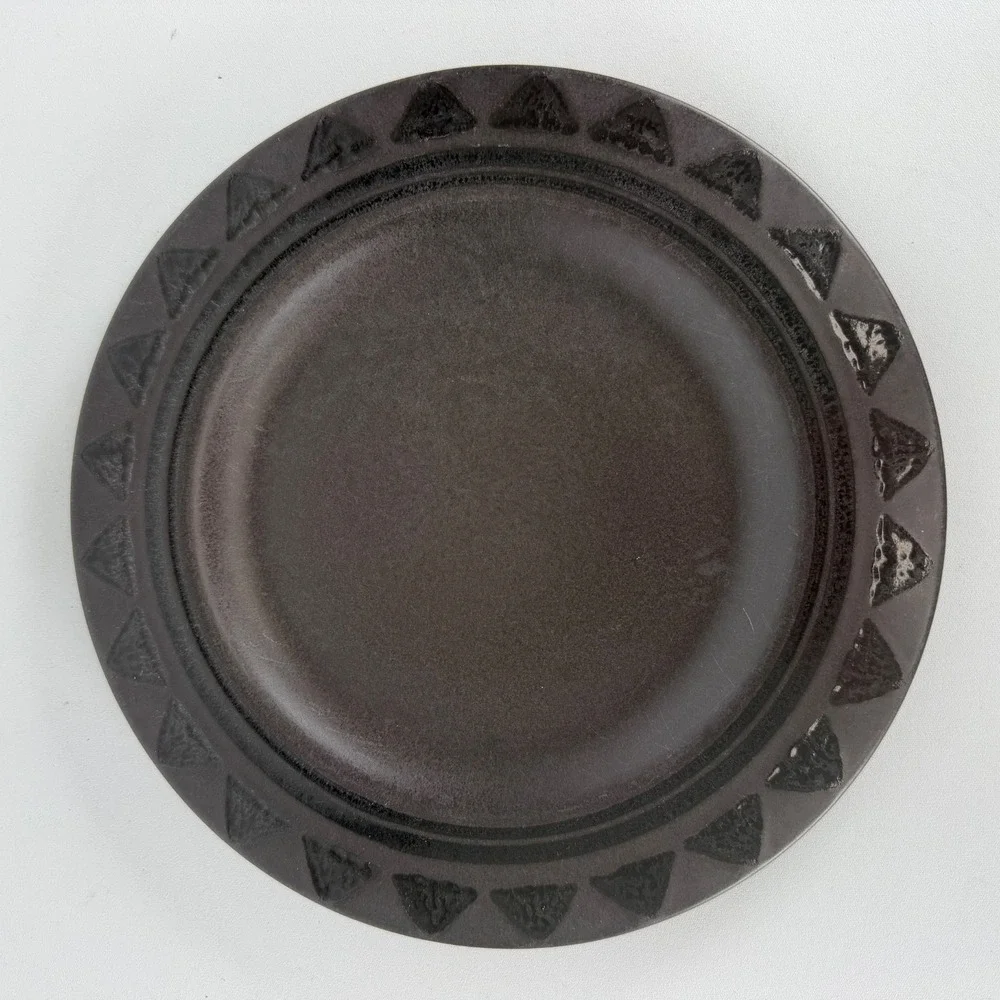 Pfaltzgraff Midnight Sun Brown Set of 2 Dinner Plates 10.5 inches‎ READ